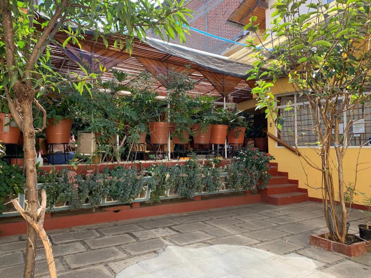 Habitaciones Betito Mazamitla Bagian luar foto