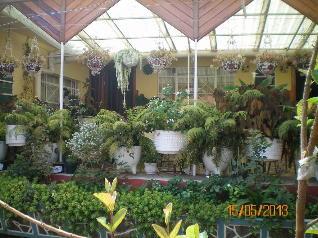 Habitaciones Betito Mazamitla Bagian luar foto